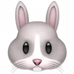 rabbit-face_1f430.webp