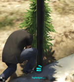 1660400763894.png