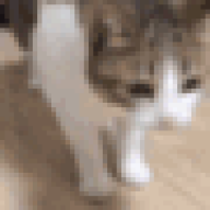 SrJeff