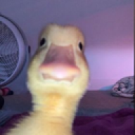 ratekrt5