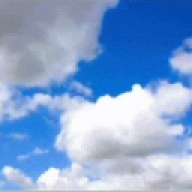 j.h603