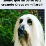 mkr988