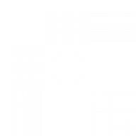 falcon025981