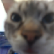 xLittleAlpha