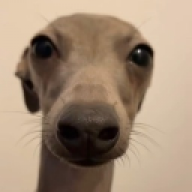 GVRP_OT