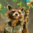 Rocket._.