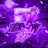 .zzid