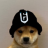 frostonyt