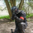 jaimy1348