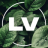 .losvanos