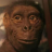 grumpybeartv